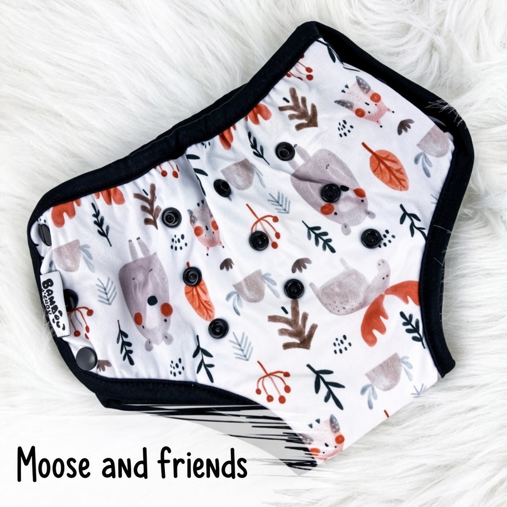 Moose and friends _Night training underpants