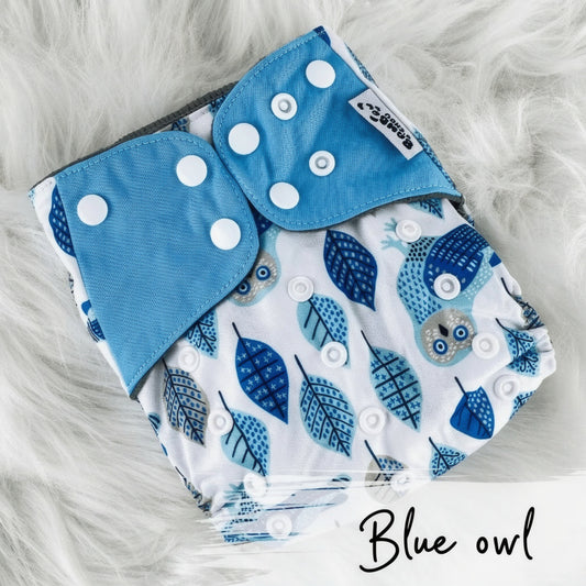 Blue Owl